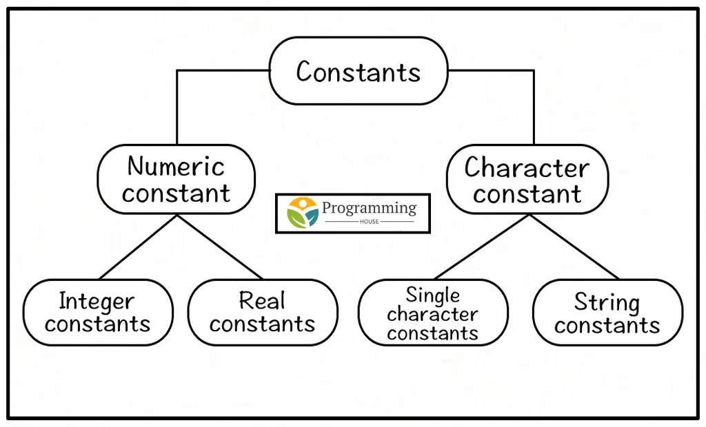 Different Types of Constants in C++