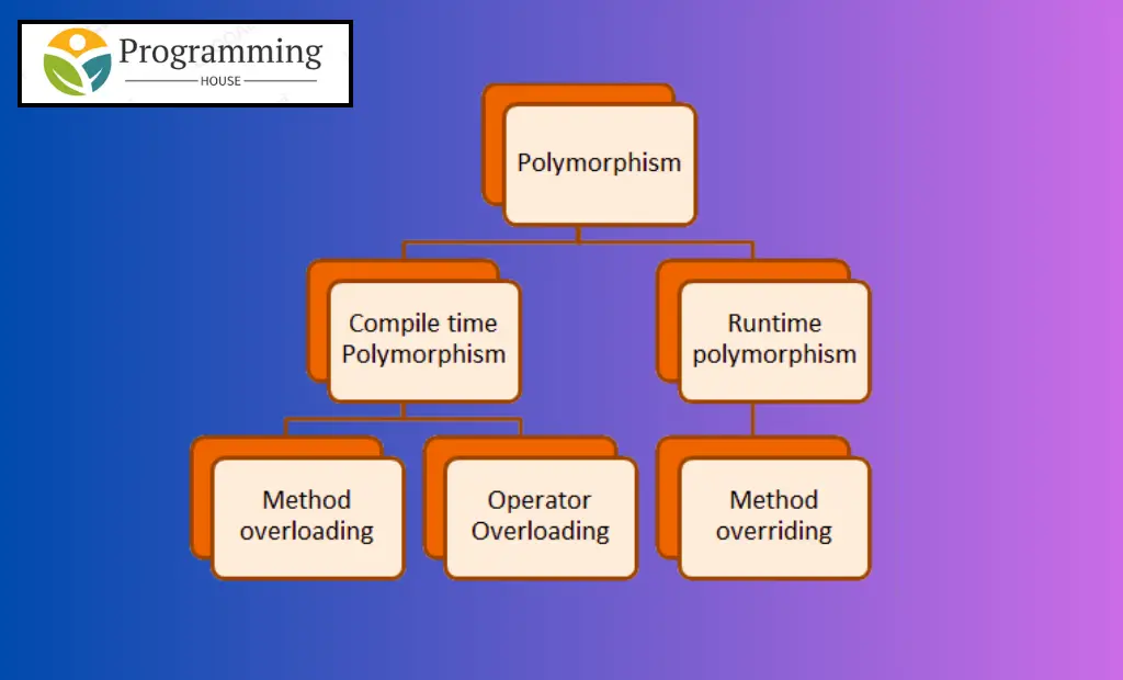 Polymorphism Concepts and Implementation