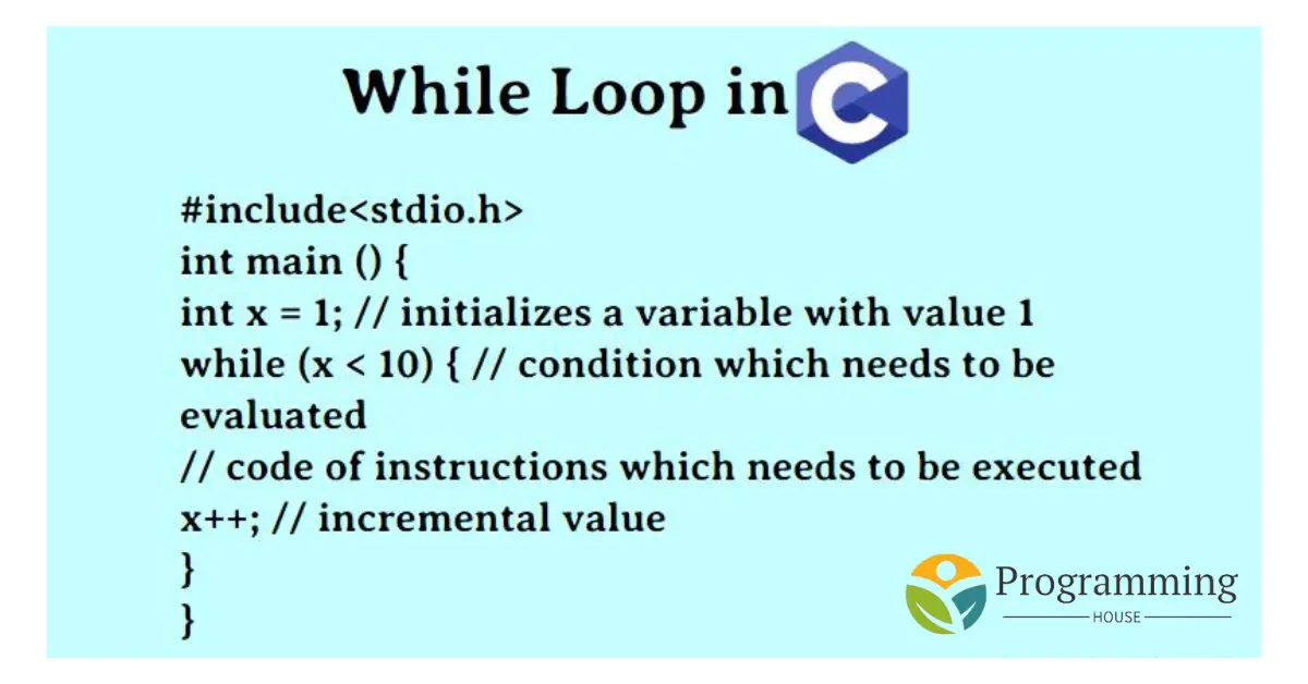 Understanding the While Loop in C